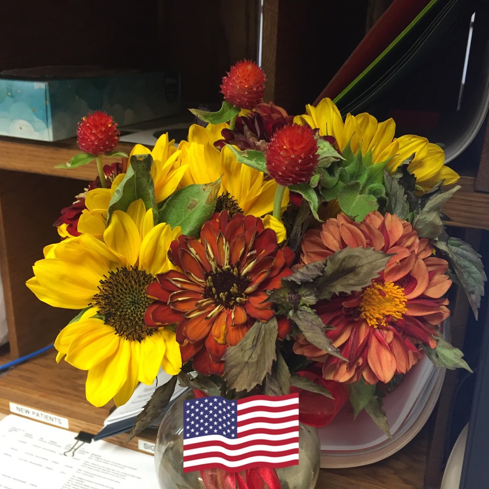 Meet your Posher, Sandra